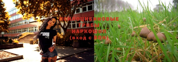 синтетический гашиш Каменногорск