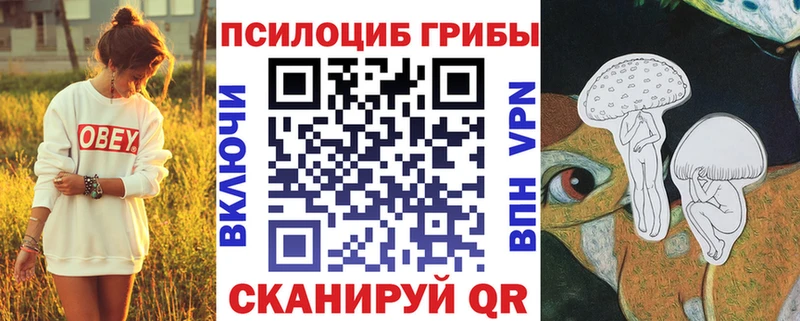 Псилоцибиновые грибы мицелий  Купить  Адыгейск 